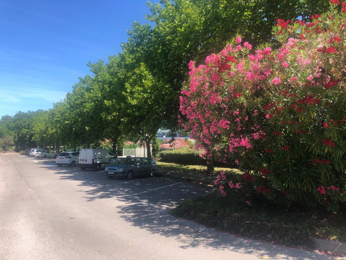 Apartament Aloha La Grande-Motte Zewnętrze zdjęcie